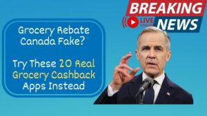 Canadian shoppers using grocery cashback apps Canada to save money on weekly shopping